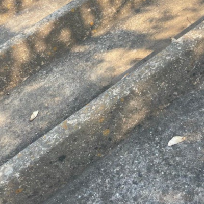 Screenshot 2024-09-17 at 11.30.07